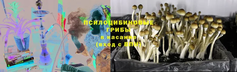 блэк спрут рабочий сайт  Горнозаводск  Галлюциногенные грибы Magic Shrooms 